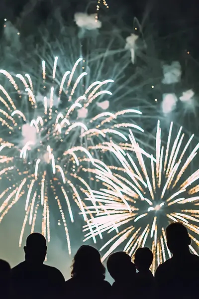 Pourquoi les feux d'artifice sont-ils si populaires pour le Nouvel An ? zenda-club.com